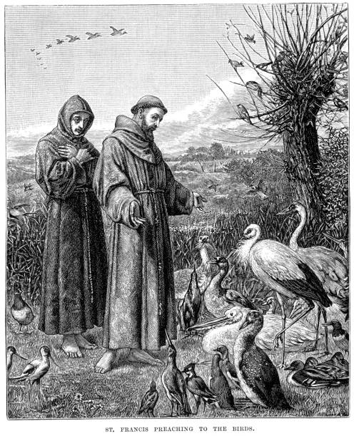saint francis einer derartigen bevormundung der vögel - franciscan stock-grafiken, -clipart, -cartoons und -symbole