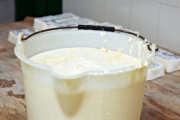 istock In the cheese factory 184278016