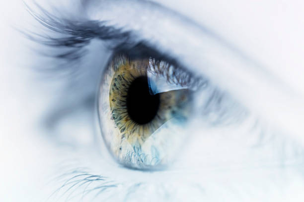 Artistic Eye Macro shot of a human eye. iris eye stock pictures, royalty-free photos & images