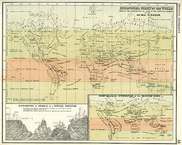 istock Antique Zoological Chart of the World 184278678