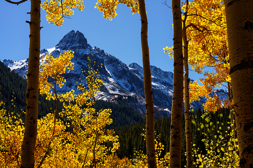 Fall Aspens and San Juan Mountains - Scenic views near Telluride, Colorado USA.