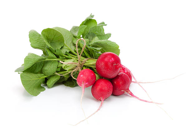 Radish Radish fresh radish stock pictures, royalty-free photos & images