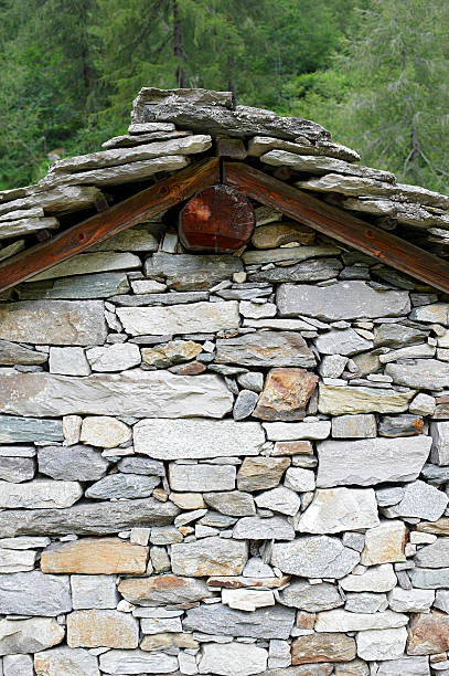 istock Roof of Alpine Home 184279375