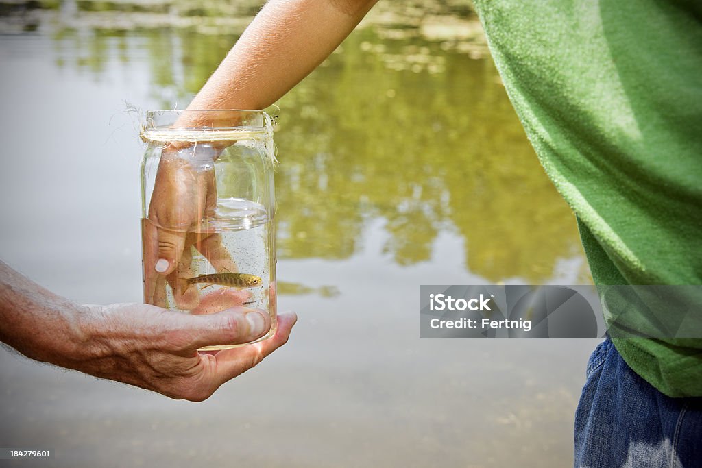 Little boy de la mano y pescados. - Foto de stock de Agua libre de derechos