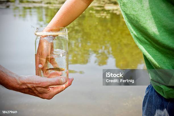 Little Boy De La Mano Y Pescados Foto de stock y más banco de imágenes de Agua - Agua, Aire libre, Aprender