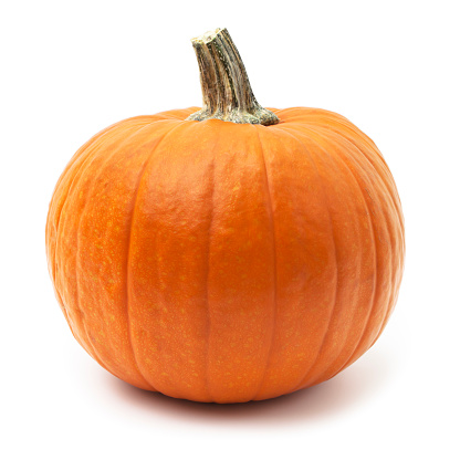Close up view of pumpkin isolated on white background. Halloween concept.