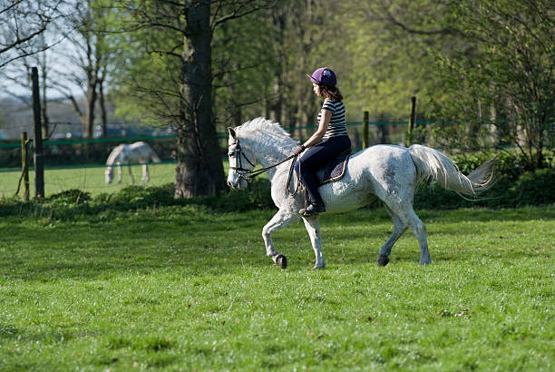 istock Horse Riding in Summer 184279954