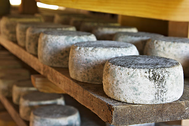 cheese display for sale in eminonu .