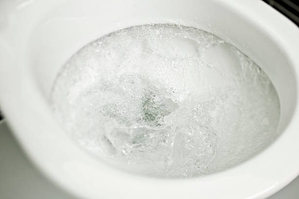 12,900+ Flushing Toilet Photos Stock Photos, Pictures & Royalty-Free