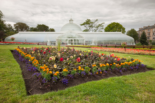 A flowerbed in Glasgow's Botanic Gardens and the Kibble Palace - a Victorian wrought iron glasshouse.
