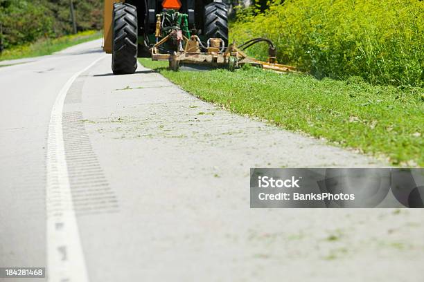 路傍カティングワイルドパースニップ - 芝刈りのストックフォトや画像を多数ご用意 - 芝刈り, 溝渠, 道ばた