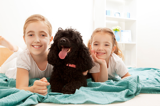 Two Cute Little Girls, sisters, having fun with their pet, medium black poodle, 9 years old girl and 4 years old girl