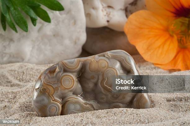 Crazy Spitze Agate Hälfte Wertvolle Stone Garantiert Authentische Stockfoto und mehr Bilder von Achate