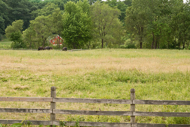 istock Farm with Horses 184281958