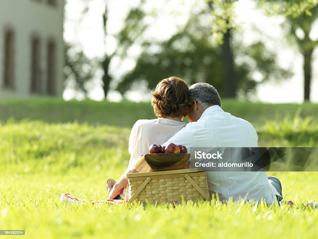 Vista traseira de um casal fazendo piquenique - Foto de stock de 50 Anos royalty-free