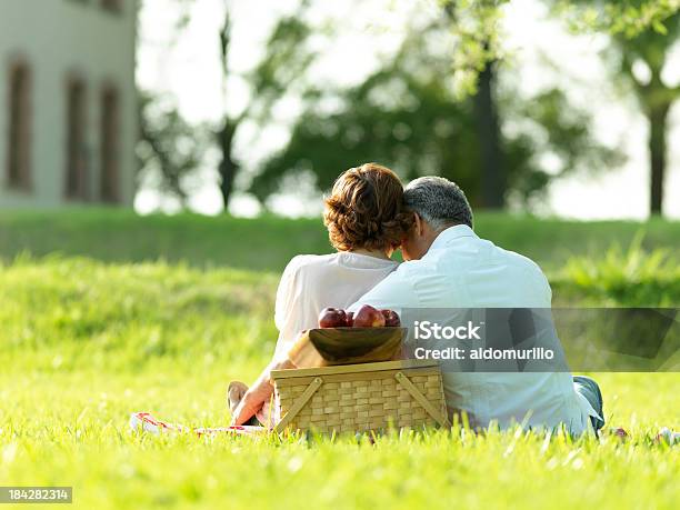 Foto de Vista Traseira De Um Casal Fazendo Piquenique e mais fotos de stock de 50 Anos - 50 Anos, 60 Anos, Abraçar