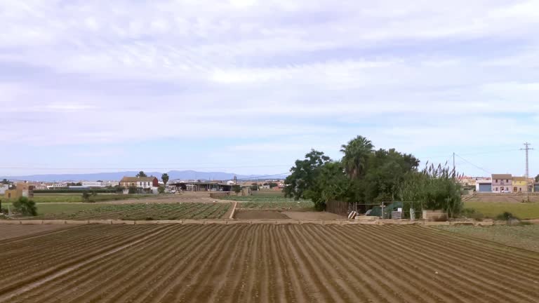 Cultivated fields and orchards seen from train in motion