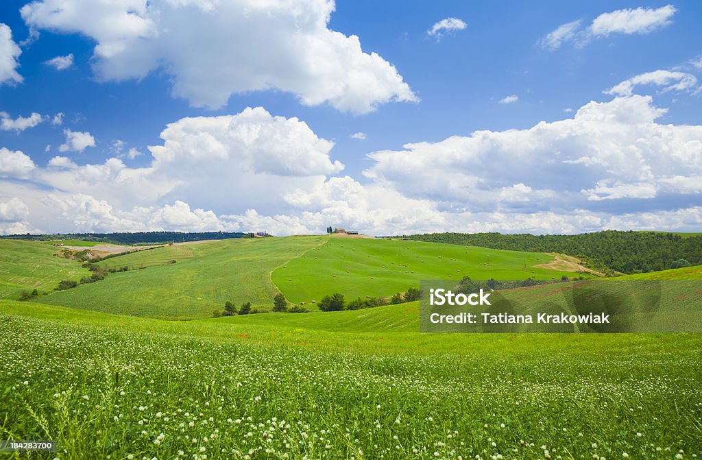 Toscana meadow - Foto de stock de Agricultura libre de derechos