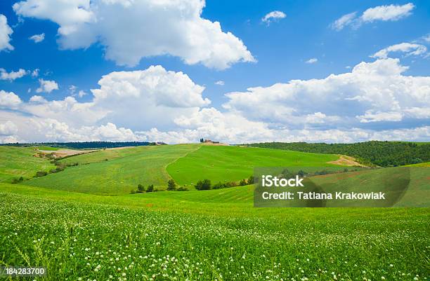 Toscana Meadow Foto de stock y más banco de imágenes de Agricultura - Agricultura, Aire libre, Ajardinado
