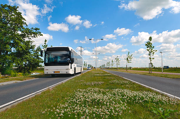 zbliża się autobus w holenderski pejzaż - pobocze trawiaste zdjęcia i obrazy z banku zdjęć