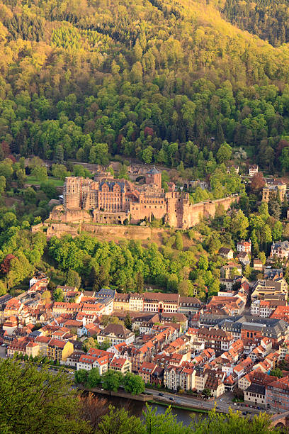 Weathered castle tower stands amidst vibrant greenery, showcasing historical architecture under bright sunlight in Heidelberg, Germany.