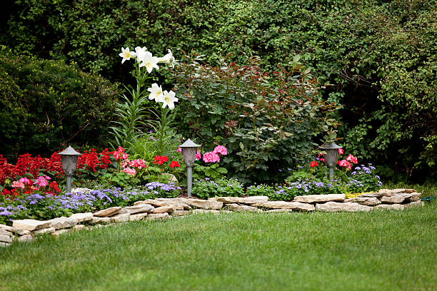 istock Garden with lights during daytime 184284035