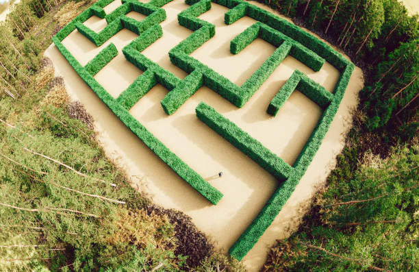 istock Into the Green Unknown: Person faces a Gigantic Garden Maze 1842845209