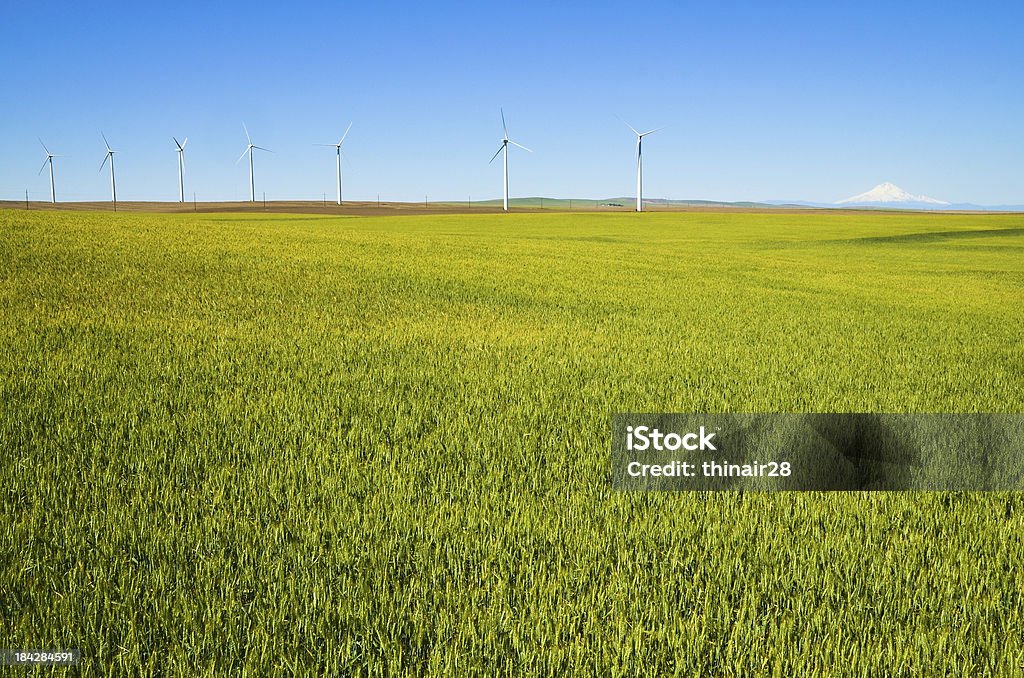 Turbinas eólicas com campo e Montanha - Royalty-free Agricultura Foto de stock