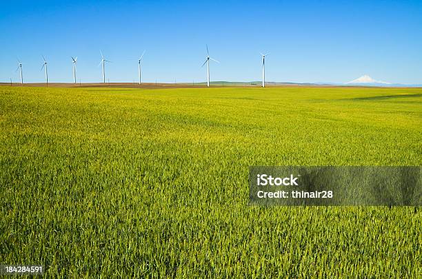 Turbinas Eólicas Com Campo E Montanha - Fotografias de stock e mais imagens de Agricultura - Agricultura, Oregon - Estado dos EUA, Azul