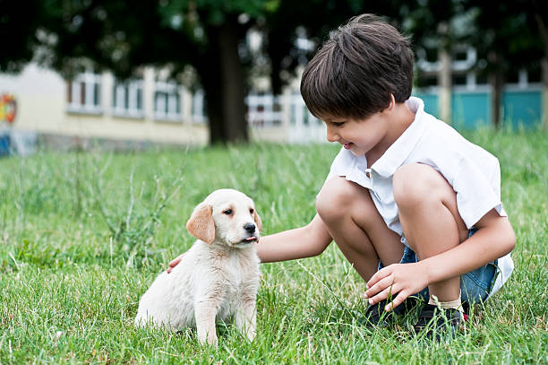 istock puppy and boy as his friend 184284605