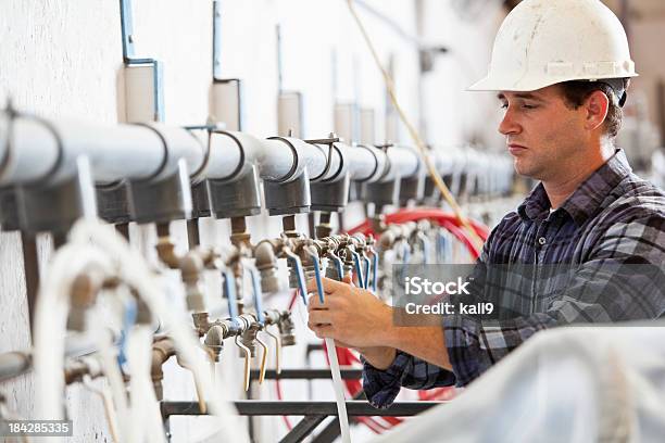 Industrial Worker At Manufacturing Facility Stock Photo - Download Image Now - 30-34 Years, 30-39 Years, Adult