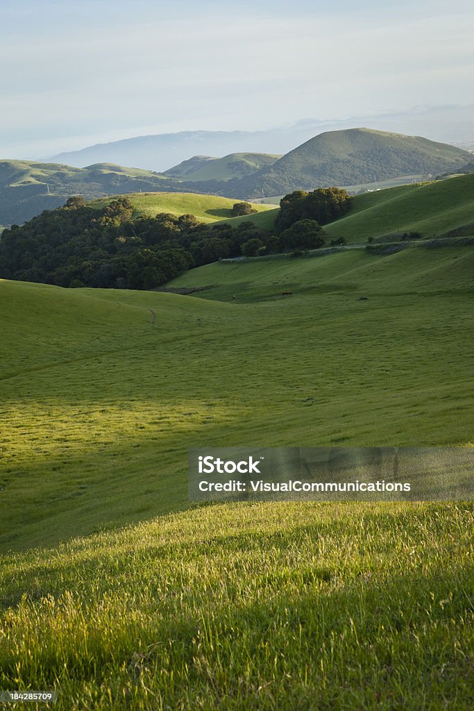 Verde meadows. - Foto de stock de Paisagem de colinas royalty-free