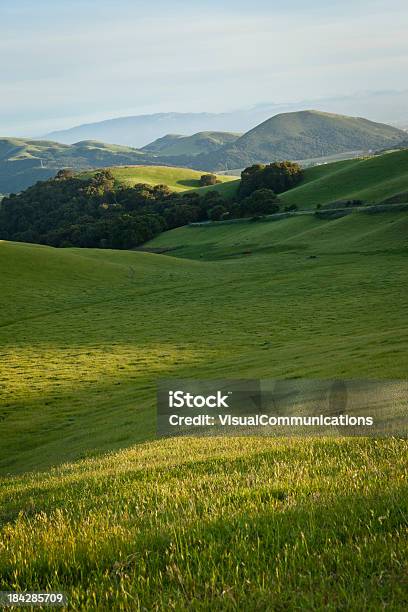 Foto de Verde Meadows e mais fotos de stock de Paisagem de colinas - Paisagem de colinas, Califórnia, Agricultura