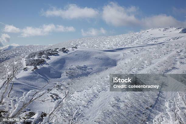 Bergeskipisten In Den Australischen Schneefelder Stockfoto und mehr Bilder von Berg - Berg, Berggipfel, Extremsport