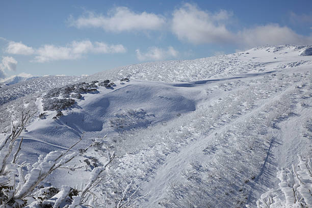 istock Mountain ski runs in the Australian snow fields 184285790