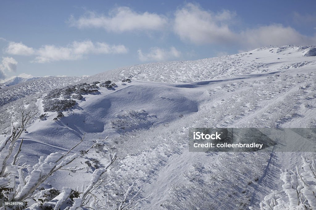 Pistas de esqui de montanha na neve campos Austrália - Foto de stock de Cordilheira royalty-free