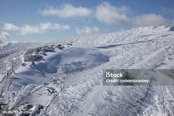 Foto de Pistas De Esqui De Montanha Na Neve Campos Austrália e mais fotos de stock de Cordilheira