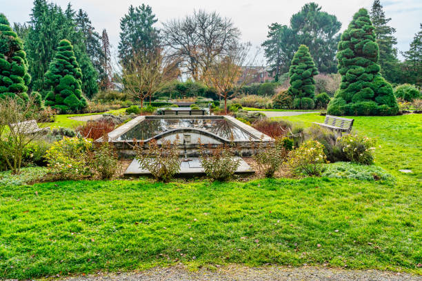 istock Winter Garden Pond 1842858903