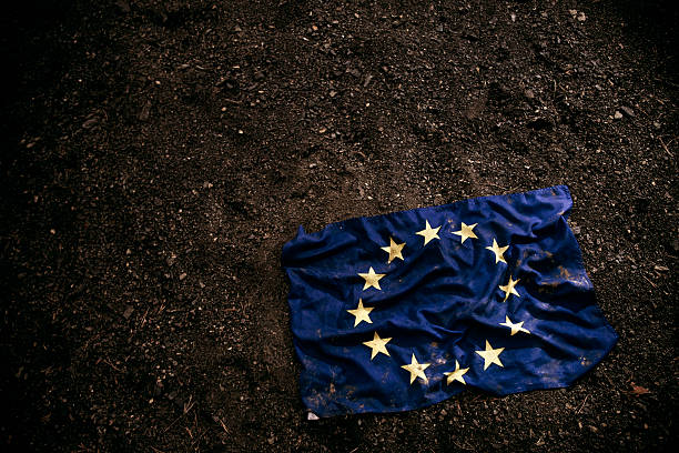 grungy bandeira da união europeia - european union flag european community photography textured effect imagens e fotografias de stock