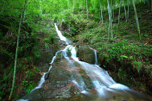 waterfall stock photo