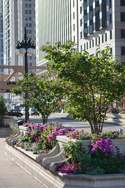 istock Wacker Drive Flower Planter in Chicago 184286581