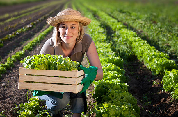 istock Woman with fresh salad 184287072
