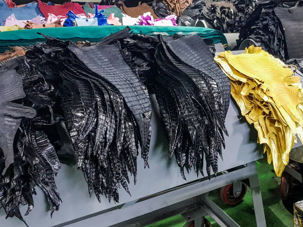 istock processing crocodile and caiman skins into textile materials and accessories 1842871916