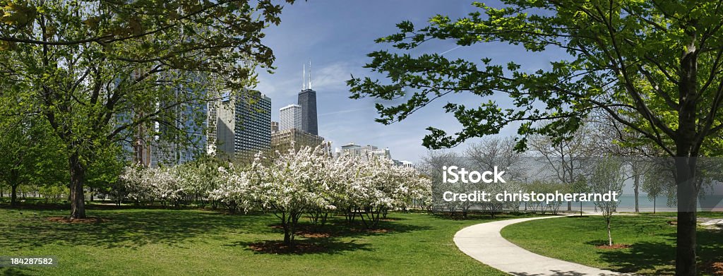 Parque de la ciudad de Chicago y el rascacielos John Hancock Building - Foto de stock de Chicago - Illinois libre de derechos