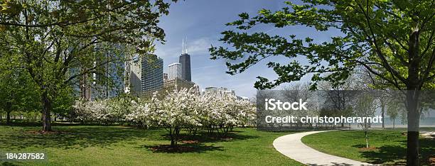 Parque De La Ciudad De Chicago Y El Rascacielos John Hancock Building Foto de stock y más banco de imágenes de Chicago - Illinois