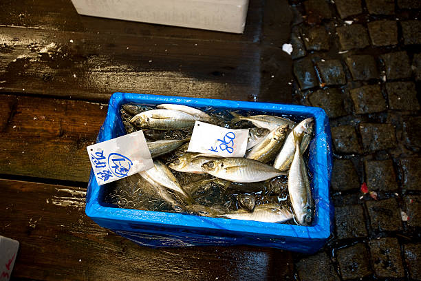 Tsukiji scenery