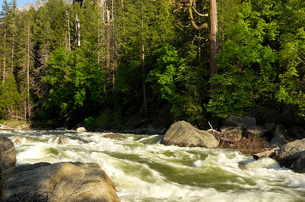 istock Turbulent Yosemite's Merced River 184288333