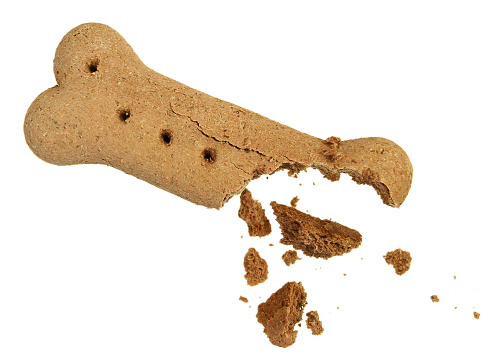 Dog biscuit with bite taken out and crumbs.