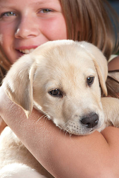 istock Little girl cuddling a puppy 184290139