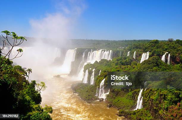 Cascate Di Iguazu - Fotografie stock e altre immagini di Acqua - Acqua, Albero, Albero tropicale